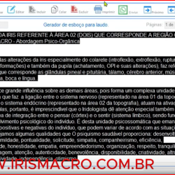 INCLUIR LAUDOS E RECOMENDAÇÕES NO SOFTWARE IRISDIAG